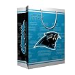 Carolina Panthers NFL Medium Gift Bag (9.75 Tall)"