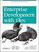 Enterprise Development with Flex: Best Practices for RIA Developers (Adobe Dev Lib)