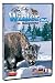 Winter In Yellowstone