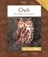 Owls: The Silent Hunters (Animals in Order)