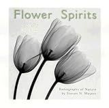 Flower Spirits 2007 Calendar