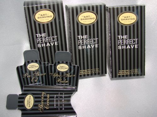 The Art of Shaving Kit -