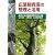 広葉樹資源の管理と活用