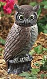 Detector Owl
