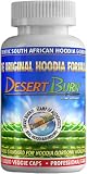 Desert Burn ® Authentic Hoodia gordonii