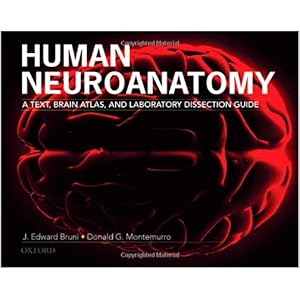 atlas of neurosurgical techniques brain free download