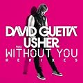 Without You (Feat.Usher) [Remixes]