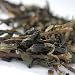 Golden Dragon Aged Loose Leaf Oolong Tea