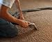 Professional Removal of Stain on Carpet - 24"W x 19"H - Peel and Stick Wall Decal by Wallmonkeys