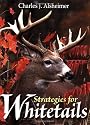 Strategies for Whitetails