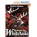 Strategies for Whitetails