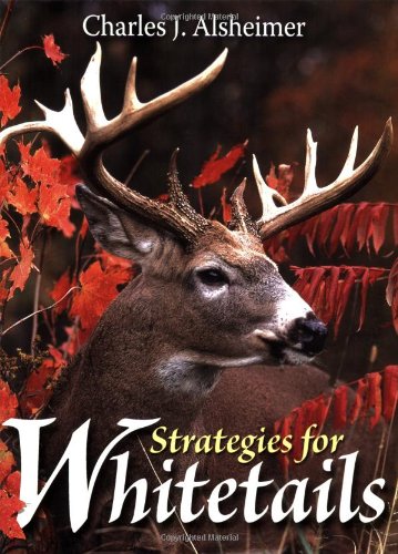Amazon Image
