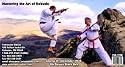 Mastering Kobudo - Weapons