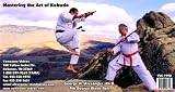 Mastering Kobudo - Weapons