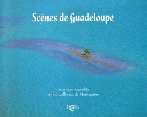 City Travel Guides Discounted  Livres : Scènes de Guadeloupe