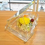 [florence du]プリザーブドフラワー グランドピアノアレンジメント イエロー クリアケース付 花 ギフト フラワーギフト 誕生日 お祝い 退職祝い 快気 退院