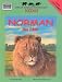 Norman the Lion (African Wildlife Foundation) (African Wildlife Foundation)