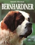 Bernhardiner