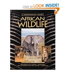 African Wildlife