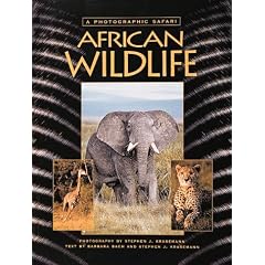African Wildlife