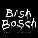 Bish Bosch (Bonus One CD) [VINYL]