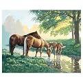 Paint by Number Kit - Horses by a Stream (16x20")