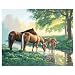 Paint by Number Kit - Horses by a Stream (16x20")