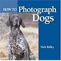 How to Photograph Dogs