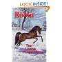 Robin: The Lovable Morgan Horse (Morgan Horse Series) (The Morgan Horse Series)