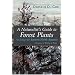 New England Plants & Ecology
