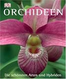 Orchideen: Die schönsten Arten und Hybriden