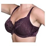 "KIMBERLY" Go2 Bra by Lipo in a Box Ivory or Raisin 32D-40DDD