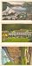 3 Vintage postcards, Lot #101208.2, from Tennessee $5.99