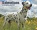 Just Dalmatians 2015 Wall Calendar