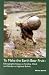 To Make the Earth Bear Fruit: Essays on Fertility, Work and Gender in Highland Bolivia (Ilas series)