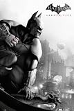 Empire 430199 Batman - Arkham City - Cover Film Movie Action Poster Druck - Grösse 61 x 91.5 cm