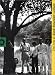 The Arts at Black Mountain College