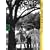 The Arts at Black Mountain College