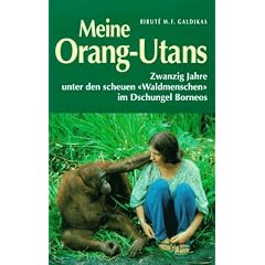 Meine Orang-Utans