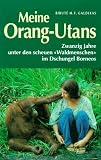 Meine Orang-Utans