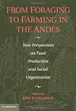 From foraging to farming in the Andes : new perspectives on food production and social organization