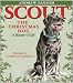Book Scout, the Christmas Dog