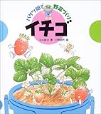 バケツ畑で野菜づくり イチゴ