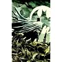 Batman: Streets of Gotham Vol. 1: Hush Money