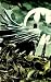 Batman: Streets of Gotham Vol. 1: Hush Money