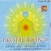 Protection-2 under the eternal armour Image