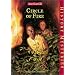 Circle of Fire (American Girl History Mysteries)