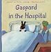 Search : Gaspard in the Hospital (The Misadventures of Gaspard and Lisa)