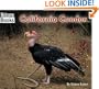 California Condor (Welcome Books: Animals of the World)