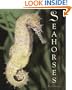 Seahorses